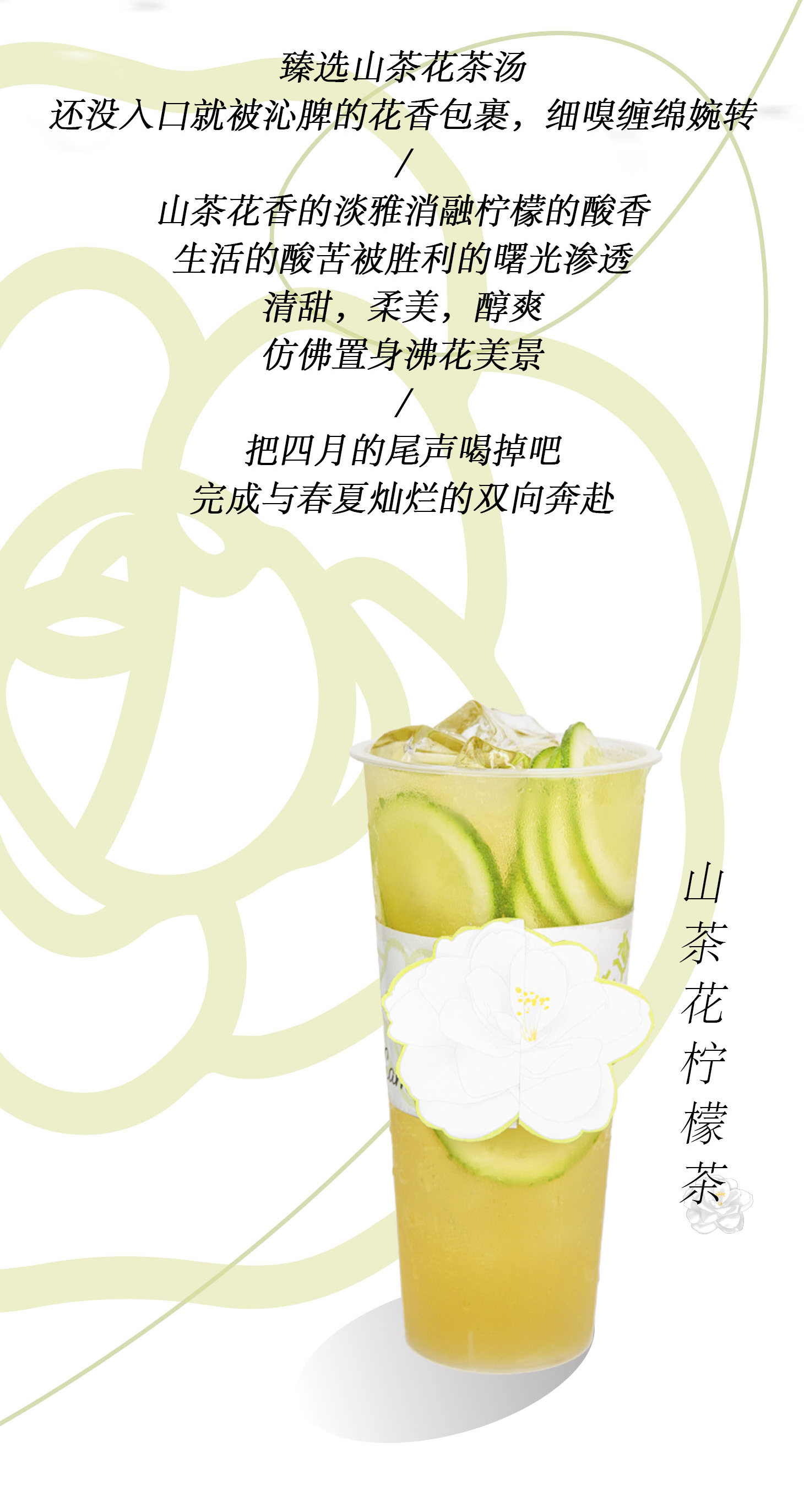 免费资料大全